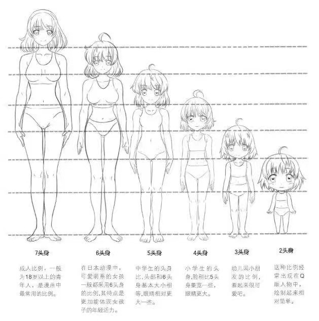 头身比参考